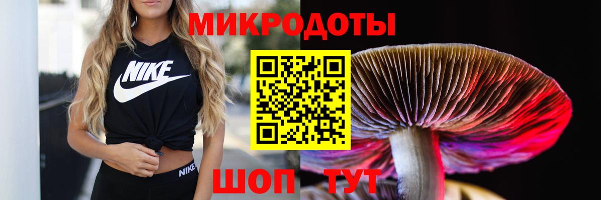 Галлюциногенные грибы прущие грибы Нижний Новгород